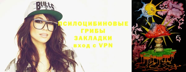 бошки Бронницы