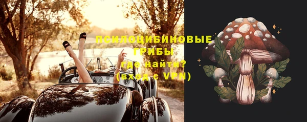 мескалин Вяземский